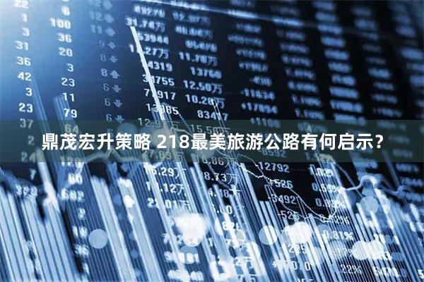鼎茂宏升策略 218最美旅游公路有何启示？