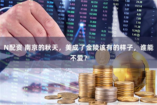 N配资 南京的秋天，美成了金陵该有的样子，谁能不爱？