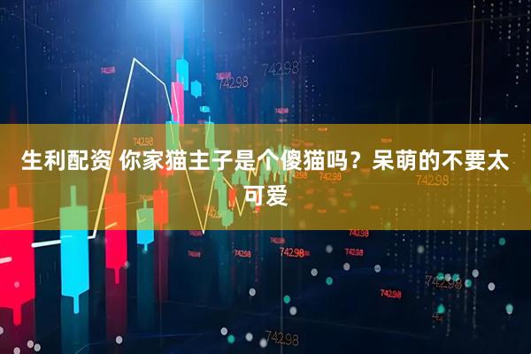 生利配资 你家猫主子是个傻猫吗？呆萌的不要太可爱
