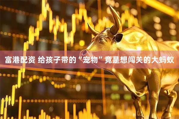 富港配资 给孩子带的“宠物”竟是想闯关的大蚂蚁