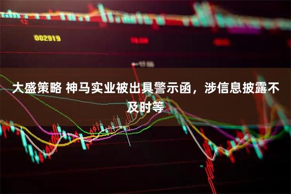 大盛策略 神马实业被出具警示函，涉信息披露不及时等